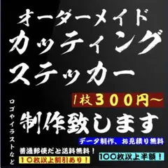 オーダーカッティングステッカー　NS-1 MBX ヘルメット　コルク半　ザリゴキ