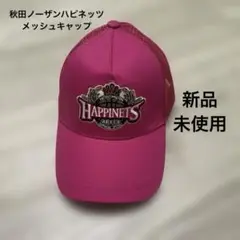 【キッズ】秋田ノーザンハピネッツ メッシュキャップ 新品 未使用 バスケ