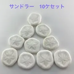 NO.34-41 サンドラー(ウニ殻) 10ケセット