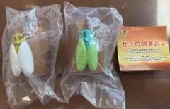 セミの鳴き声2 ガチャ　カプセル玩具　ツクツクボウシ　ヒグラシ　2種　未開封