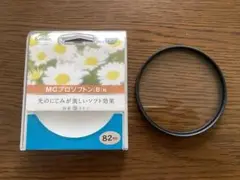 Item thumbnail for item 80738849-6680-4ac2-9a8a-fe3668bf705a