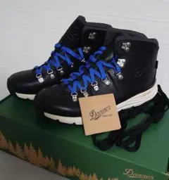 Item thumbnail for item ded95a28-5cbd-49b1-8cf8-3164937bf09c