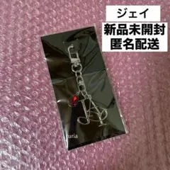 ジェイ メタルキーリング ENHYPEN FATE＋ JAY 未開封