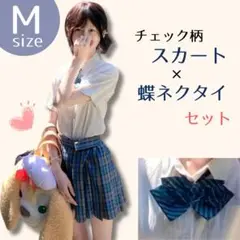 新品】新栄 高校 風 スカート 青チェック 制服 JK - コスプレ衣装