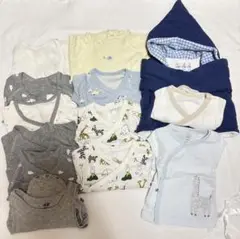 Item thumbnail for item e7805a0b-7a50-4951-84be-35ea53022a6b