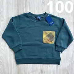 Item thumbnail for item 0aab9424-4c02-47df-890e-31b969d33a0a