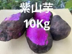 鹿児島県産 紫山芋 農家直送