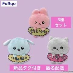 【3種セット】チェゴシム　メッセージ付きぬいぐるみ　3色コンプリート