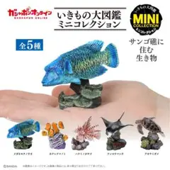 いきもの大図鑑ミニコレクション　サンゴ礁に住む生き物　全5種コンプリート