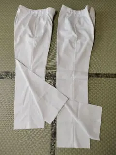 Item thumbnail for item a91a9ea5-e0d4-431a-a1c1-c50ff6488055