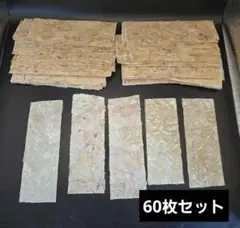 アワビ　シェルシート　60枚セット