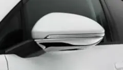 Item thumbnail for item e7c746d1-e2aa-487a-9534-fb91dfbbd867