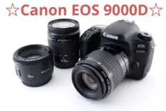 Item thumbnail for item 8aefe421-f8cf-4dfd-91bc-9d23f63d37e4