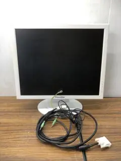 Princeton　TFT LCD モニター　PTFWKF-19 19インチ