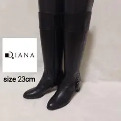 Item thumbnail for item 6f330afd-3763-4be1-b9b8-58318b50dd84