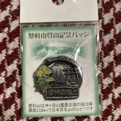 Item thumbnail for item 2fa36fc9-199a-4417-bcee-f6fc153ee31f