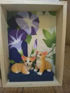 コーギーボックス　朝顔