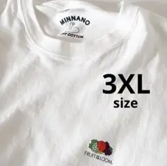 MIN-NANO × FRUIT OF THE LOOM Tシャツ 3XL