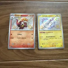 色違い パチリス アチゲータ　ポケモンカード
