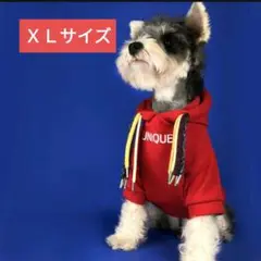 T13 XLサイズ 赤 犬服 ドッグウェア フード パーカー かわいい