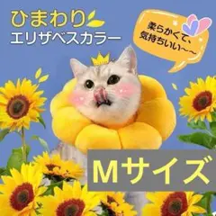 Item thumbnail for item 649e75f4-abb6-4b26-b566-f3aca65c8711