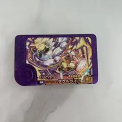 【ポケモンフレンダ】タケルライコ