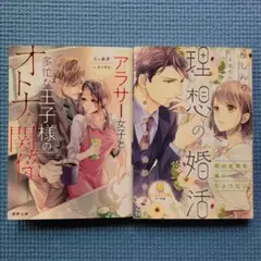 アラサー女子と多忙な王子様のオトナな関係 2冊セット