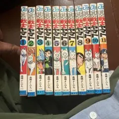 白い戦士ヤマト1巻から11巻のセット