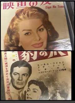 Item thumbnail for item 92336ea8-d597-46e8-bf49-cf961384944d