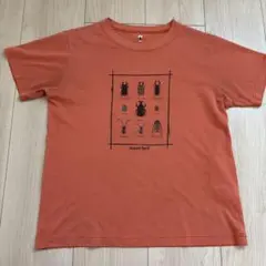 mont-bell 昆虫プリント Tシャツ 150