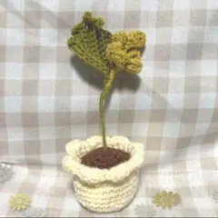 枯れない花　ミモザ　編み物