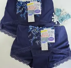 Item thumbnail for item 2345ba66-fd69-4a0c-b269-f25f71f882b3