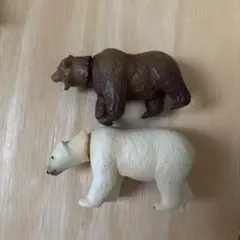 アニア　しろくま、くま
