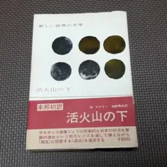 活火山の下