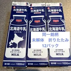牛乳パック　未解体　折りたたみ　12本