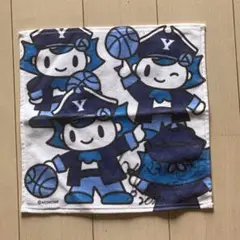 横浜ビーコルセアーズ コルス君ハンドタオル(チアB-ROSEのサイン入り)