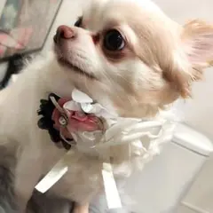 Item thumbnail for item 2f9421da-a0f6-46c1-b140-907376372fef