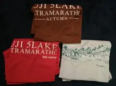 チャレンジ富士5湖FUJI 5LAKES Tシャツ XL 3枚セット USED