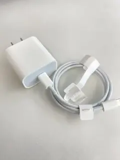iPad 純正 USB-C充電器とLightningケーブルセット