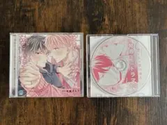 【最終値下げ】赤い糸の執行猶予/BLCD