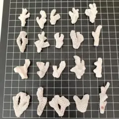 珊瑚　小さめ　天然素材　20個セット