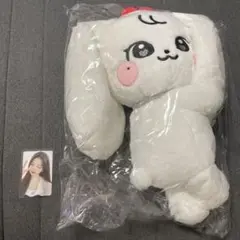 ウォニョン　ive minive school hug bag トレカ付き