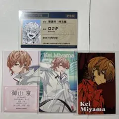パラライ 1Nm8 インメイト 京、ロクタ まとめ売り