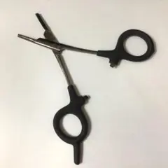 Item thumbnail for item f0a45d95-a1ae-4b37-a77d-8cb2a25e1c91