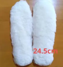 Item thumbnail for item bfc6619d-65ca-409b-a245-67f28284f4e5