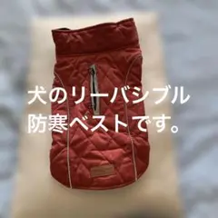 Item thumbnail for item fa4c4b6f-2480-4a9b-a2df-960d60862d8d