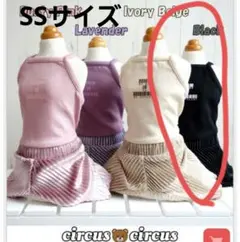 Item thumbnail for item 4931c2eb-ff0c-4bd5-8efa-dfe855133348