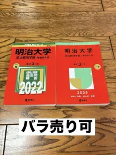 明治大学 政治経済学部 学部別入試 過去問題集2022 2025