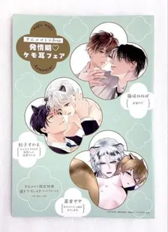 «特典のみ»drapアニメイト連動購入4Pリーフレット　発情期ケモ耳フェア