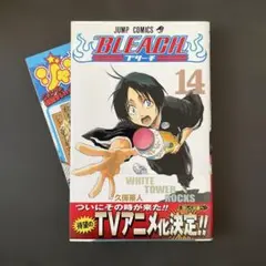Bleach 14 初版